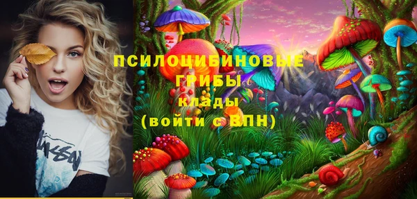PSILOCYBIN Корсаков