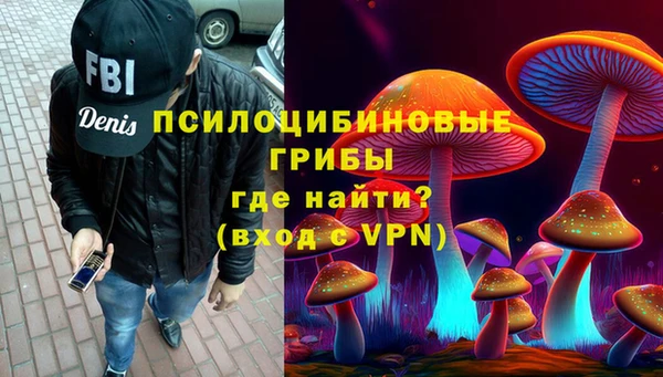 Альфа ПВП Костерёво