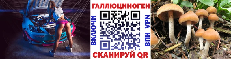 Псилоцибиновые грибы Cubensis  kraken ссылки  Первоуральск  купить наркоту 