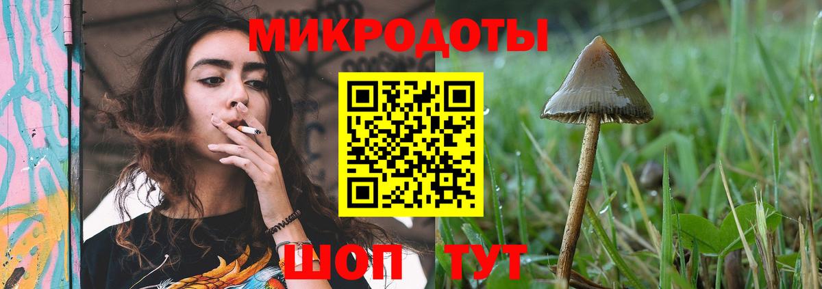 Первоуральск  Галлюциногенные грибы прущие грибы  Вход с VPN 